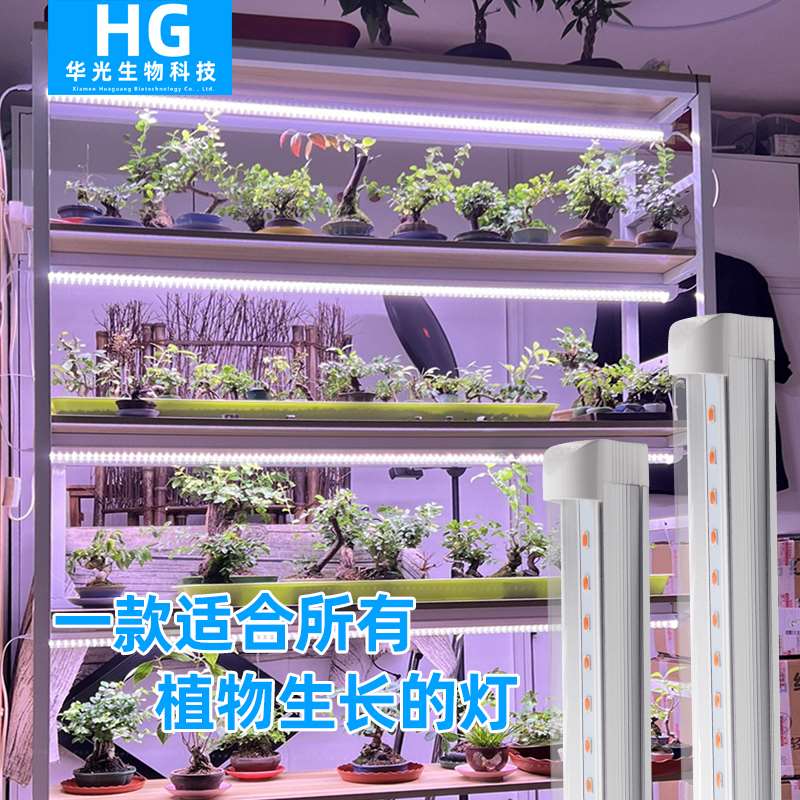 华光多肉补光灯全光谱植物生长灯仿太阳光花卉绿植草莓叶菜补光灯