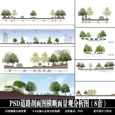 道路剖面图横断面景观分析图（8套）PSD源文件