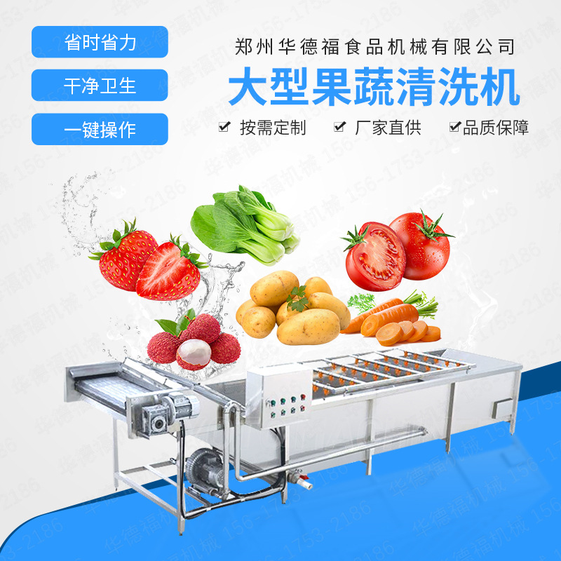 大型果蔬气泡清洗机 商用全自动洗菜机 圣女果柑橘去杂清洗流水线