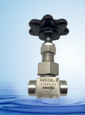 截止阀 SS-6DBSW8T 高温高压球型石墨密封针型阀SS-6NBSW8T