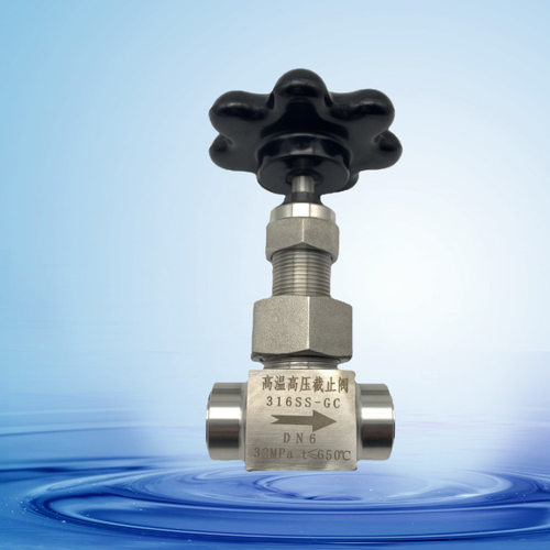 截止阀 SS-6DBSW8T 高温高压球型石墨密封针型阀SS-6NBSW8T