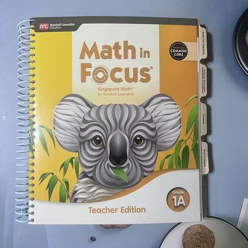 MathinFocusTeacherEdition