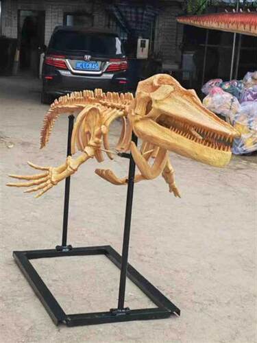 大型仿真恐龙动物骨骼骨架化石仿真大型手办厂家直销摆件来图制作