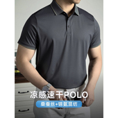 男士 短袖 夏季 轻奢凉感速干POLO衫 2025新款 桑蚕丝高端商务翻领T恤