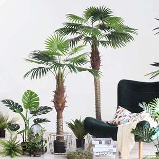 外贸 仿真棕榈树 人造棕榈葵 仿真蒲葵盆栽 商场酒店假树盆景