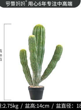 一件代发室内仿真植物装饰多头摩洛哥仙人柱仙人掌盆栽落地假植物
