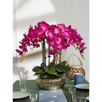 手摸蝴蝶兰人造花假花盆栽植物装饰客厅酒店餐桌装饰插花花卉装饰