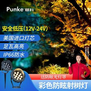 室外射灯庭院景观射树灯12V24伏地灯彩色led投光灯户外防水照树灯