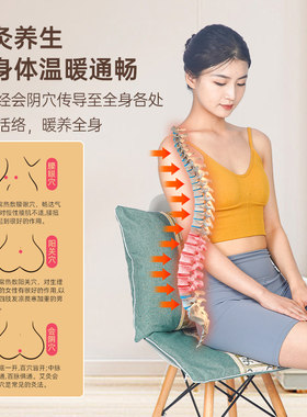 电加热坐垫办公室座椅靠背一体小型发热坐毯家用艾绒草电褥子屁垫