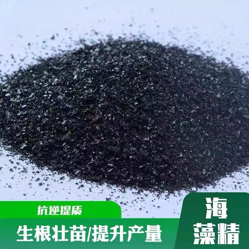 酶解海藻精高级原料生根壮苗花芽分化海藻酸叶面肥全水溶肥包邮