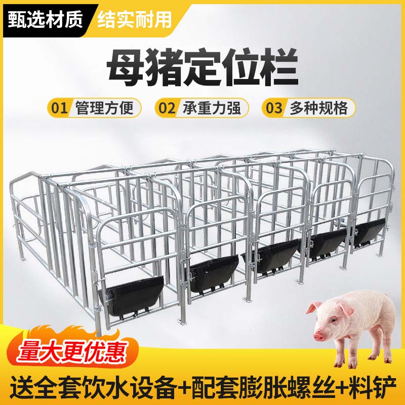 母猪定位栏养猪场设备限位栏落地式带漏粪板加厚热镀锌猪用限位栏