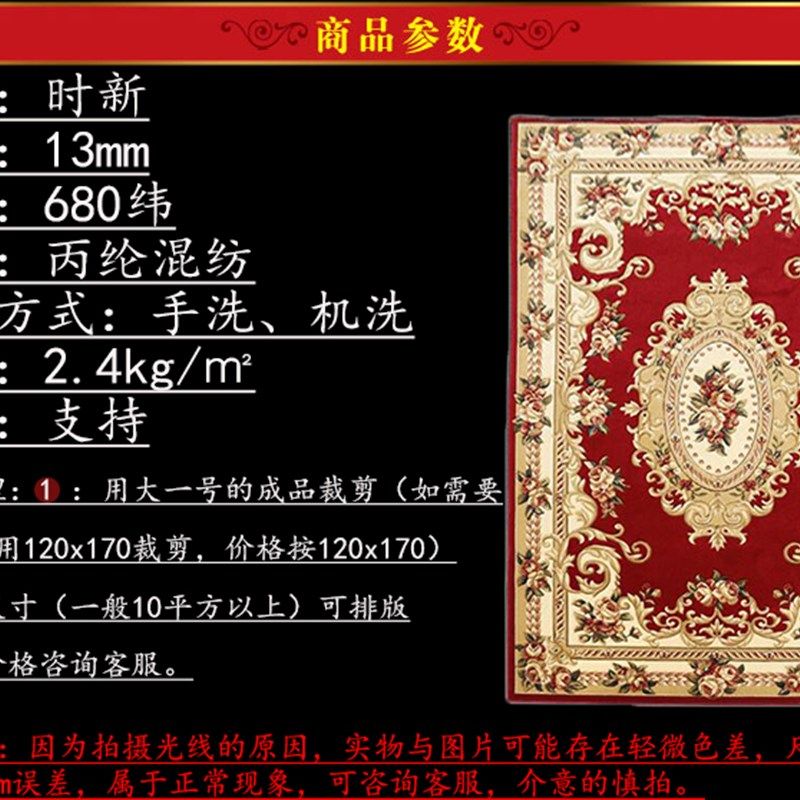 地毯大客厅垫 欧式茶几垫床边地毯卧室满铺 长方形家用门垫进门