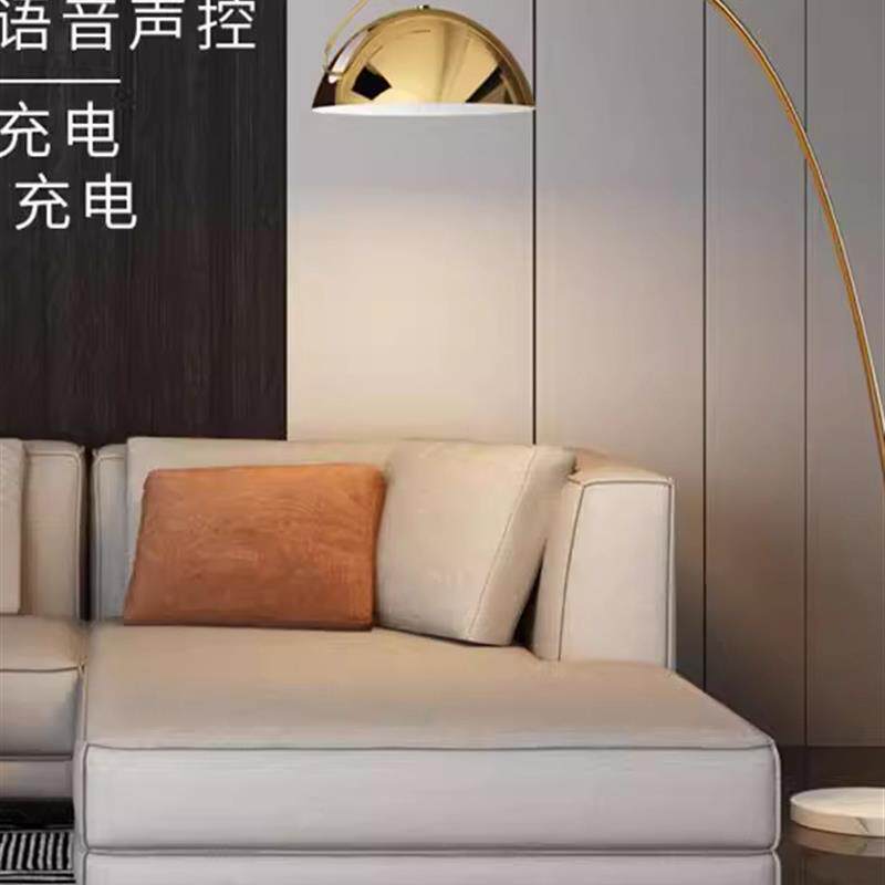 北欧钓鱼灯落地灯客厅沙发旁边轻奢设计感样卧室银色高级立式台灯