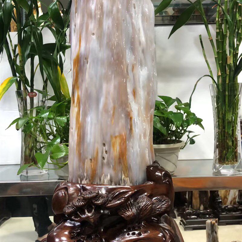 精品缅甸树化石冰种木化玉原石天然硅化木博古架奇石树化玉摆件