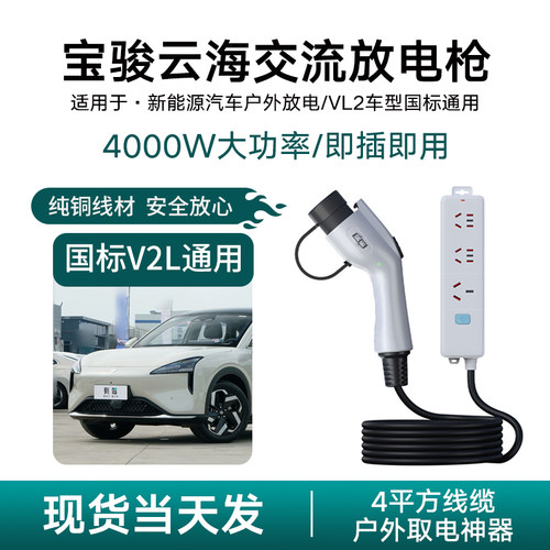 宝骏云海纯电新能源汽车放电枪