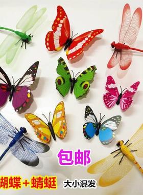 新款上新真蜻蜓 塑料假蜻蜓蝴蝶带别针 窗帘装饰 拍照小饰品3d