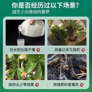 免稀释发财树营养液肥料专用肥治烂根黄掉叶盆栽花卉绿植花肥通用