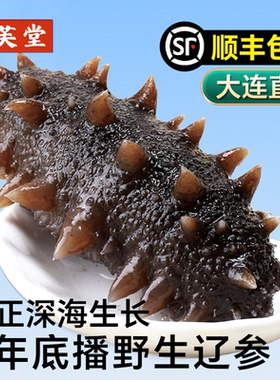 大连辽参鲜活野生即食海参官方旗舰店新鲜刺参一斤独立包装袋礼盒