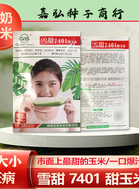 雪甜7401超甜牛奶玉米种子籽粒白色口感特甜生食抗病性好水果玉米