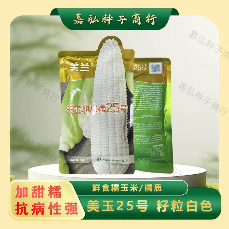 美兰美玉25号加甜糯玉米种矮杆抗病性好 口感甜糯好吃棒子大