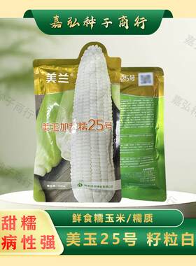 美兰美玉25号加甜糯玉米种矮杆抗病性好 口感甜糯好吃棒子大