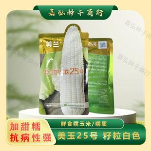 美兰美玉25号加甜糯玉米种矮杆抗病性好 口感甜糯好吃棒子大