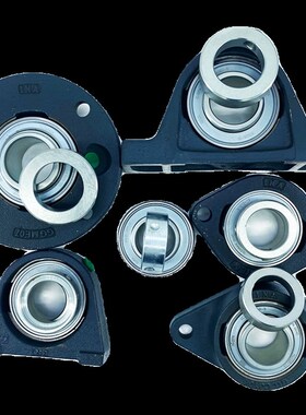 进口INA外球面轴承座单元 RASE15 20 25 30 35 40 45 50 立式