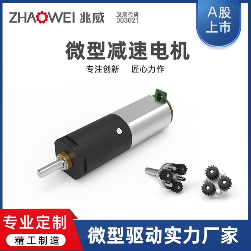 微型直流电机 水果榨汁机低噪音大扭矩齿轮箱12v小型减速电机