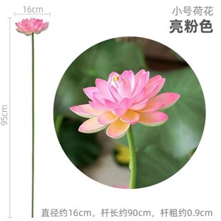 江南可采莲舞蹈演出服入莲间荷叶道具荷花仙子儿童古典舞池上汉服