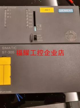 Siemens Simatic S7-300 CPU319F【询价】