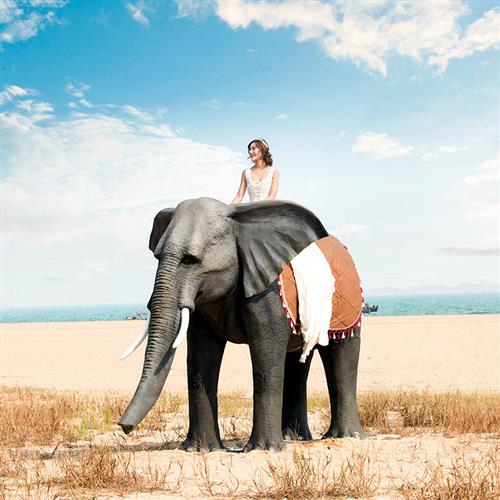 仿真动物大象:玻璃钢雕塑商场景区园林游乐园大型户外摆件