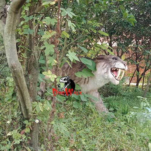 剑齿虎老虎猛兽仿真动物模型动态模型玩具厂家出租出售
