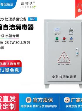 水箱自洁消毒器臭氧内置式外置式WTS-2A2B2W水池水塔微电解消毒机
