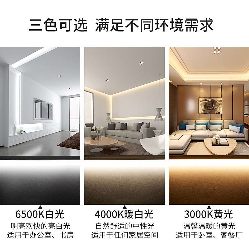 高色温光效灯管led10000-12000流氓t8t5分体一体化感应雷达微波