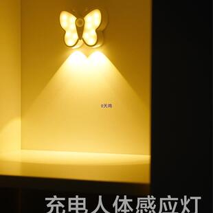 人体感应灯夜间自动人来即亮入户门家用智能走廊过道楼道墙角充电