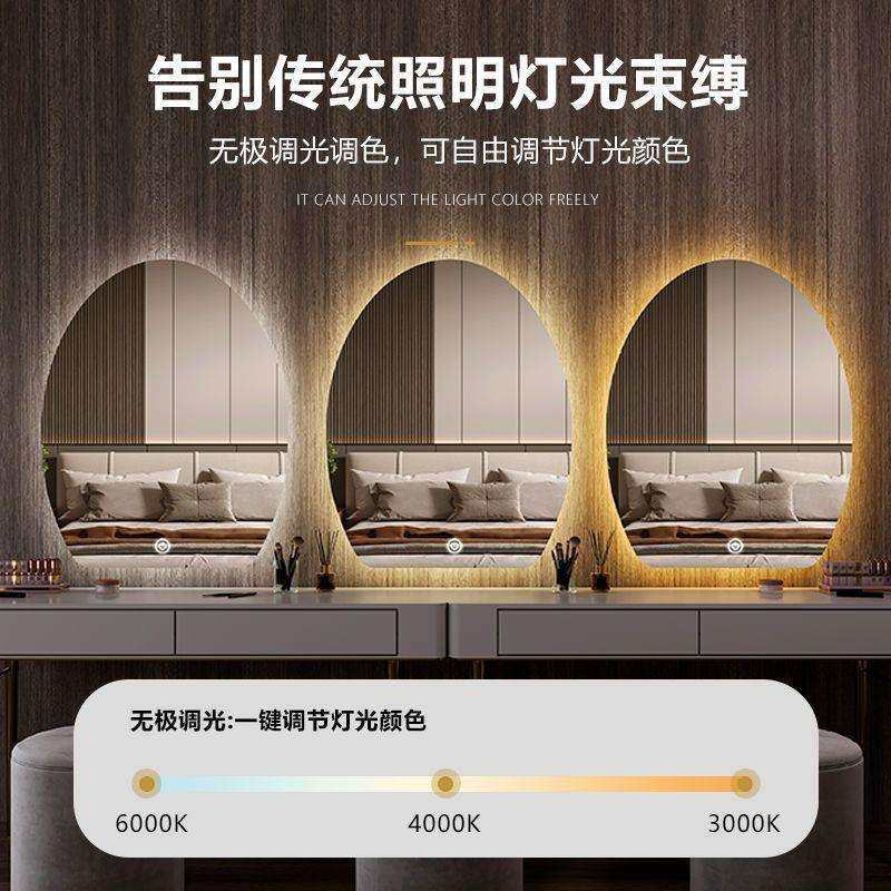 化妆镜LED蛋型梳妆镜卧室贴墙智能带灯化妆镜家用异形浴室镜壁挂