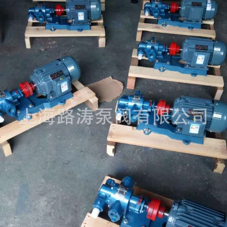 路涛KCB-300齿轮油泵2CY-18/0.36齿轮式输油泵5.5KW 防爆齿轮泵