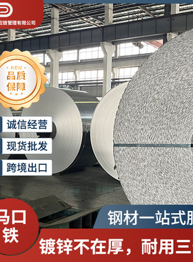 热轧板卷 VDA 239-HR500LA-U热轧卷板行情