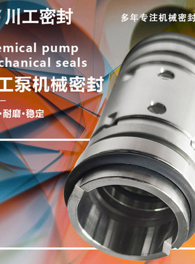 碳化钨密封 HSW100-65-60 HSWJ125-100-40T 双端面机械密封弹簧