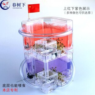 极速窝送蚁后双层沙丘别墅箱实y验繁殖平面生态蚂蚁工坊蚂蚁庄园