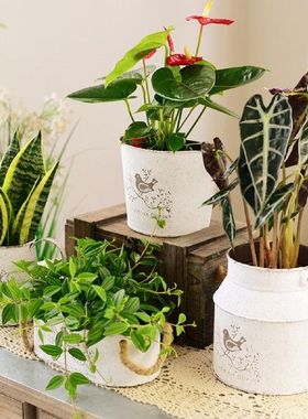 极速Vintage Home Decor Flower Eco Friendly GarQden Bird Prin