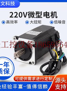 极速议价扁轴螺丝刀微型电机22y0V三相调速直流马达高转速可调现