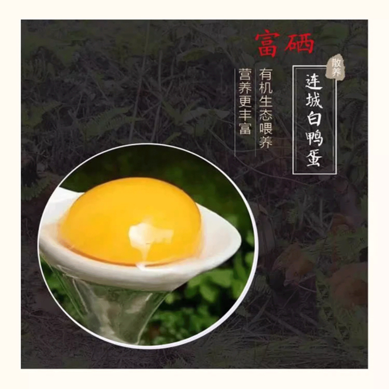 连城白鸭蛋正宗农家散养