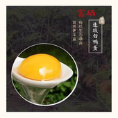 连城白鸭蛋鲜鸭蛋正宗白鹜鸭白鹭鸭蛋土鸭蛋新鲜农家散养30枚 包邮
