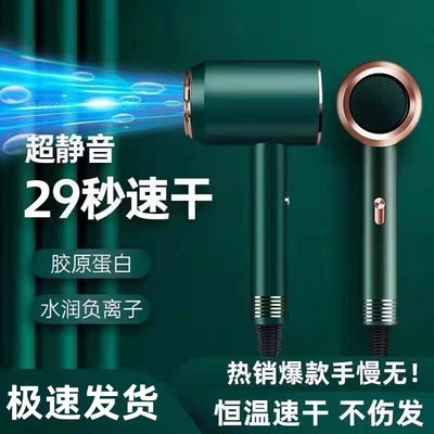 德国电吹风机筒发廊蓝光大功率理发店2300w 家用负离子护发速干x