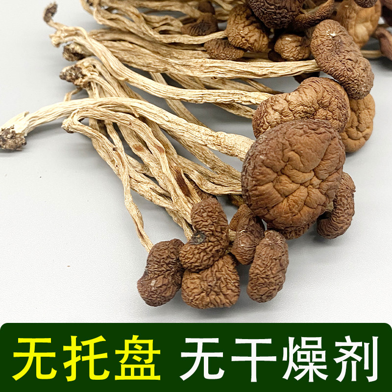 云南特产昆明市散装蘑不开伞商用