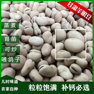 甘肃羊眼豆小蚕豆大豆新鲜种子鸽粮干货散装生的新品种小胡豆食用