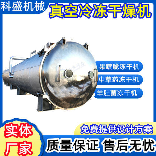 羊肚菌低温脱水冻干机 真空冷冻干燥机 果蔬脆片低温冷冻式干燥机