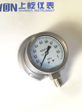 Pressure gauge y-102bf ytf-100ht 径向后带边不锈钢压力表304SS
