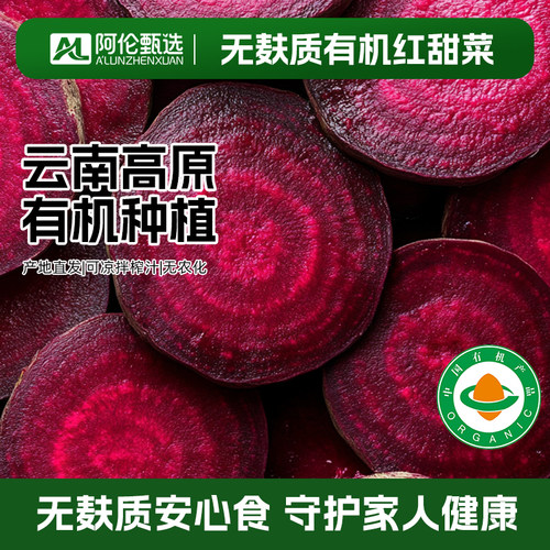 有机紫红甜菜根新鲜应季纯红多汁